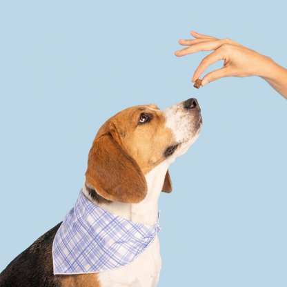 Multivitamínico DM-01™ Adiós alergias y comezón en sólo 21 días