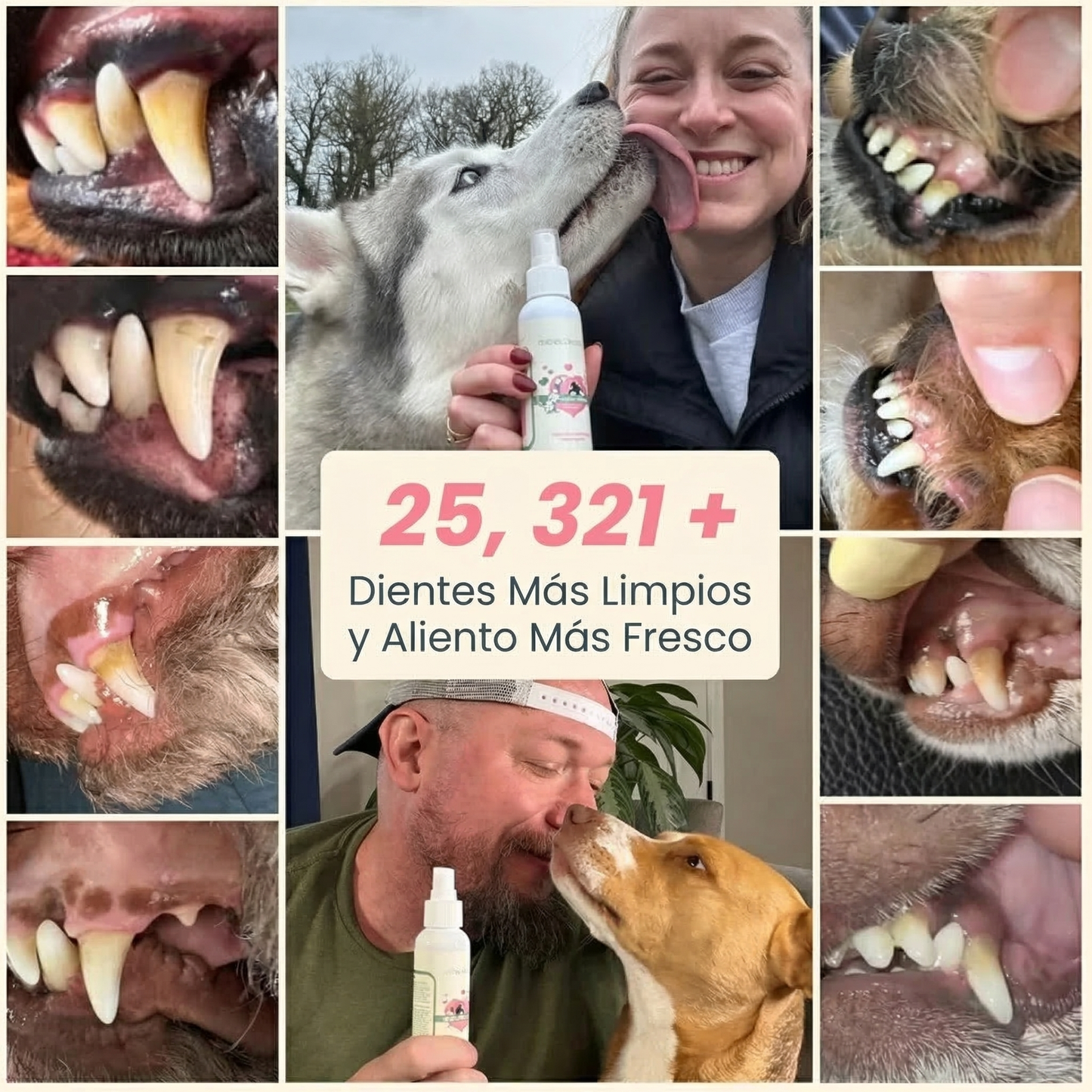 DENTACLEAN® — Encías Saludables en 14 Días