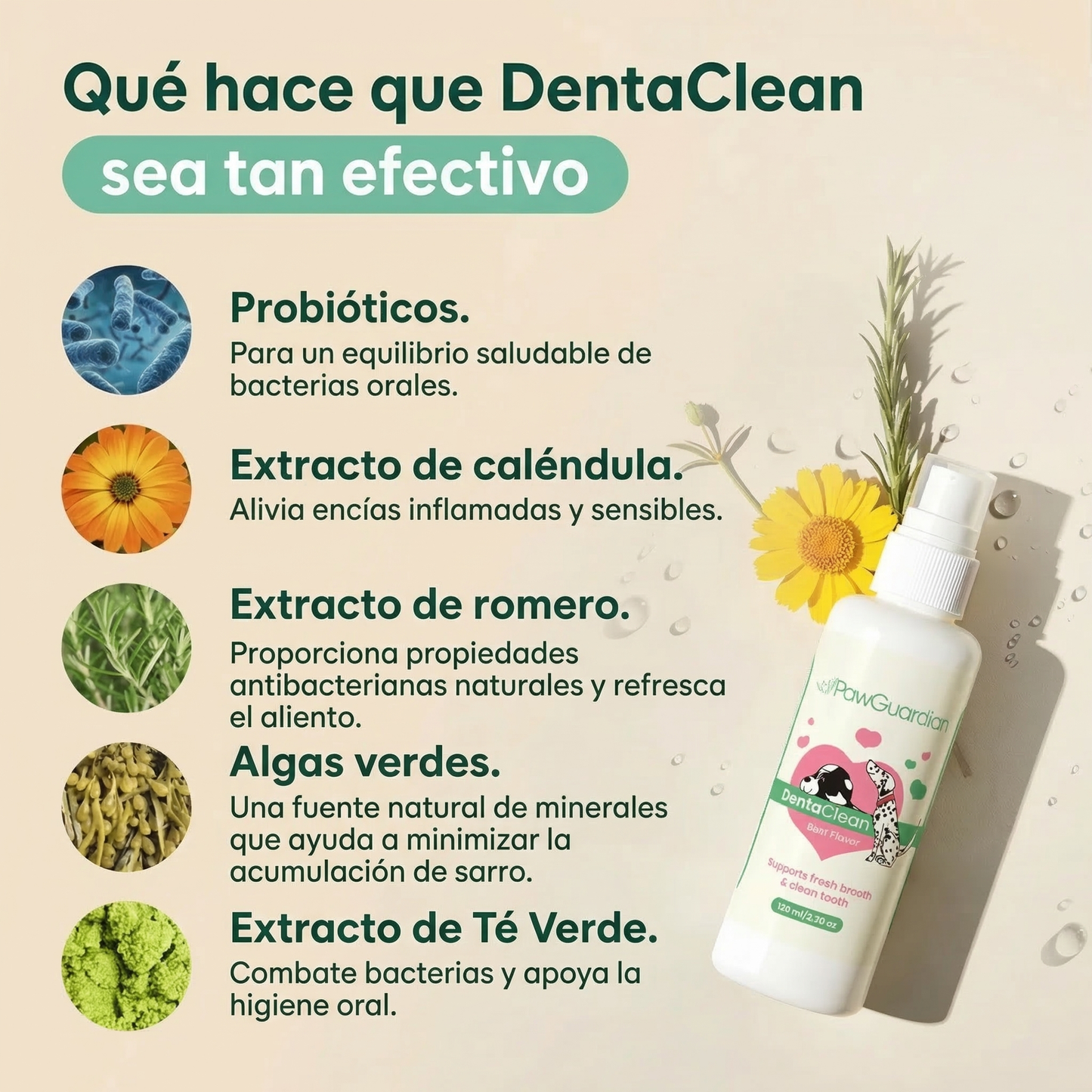 DENTACLEAN® — Encías Saludables en 14 Días