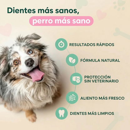 DENTACLEAN® — Encías Saludables en 14 Días